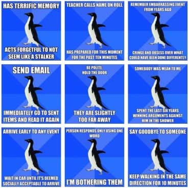 socially awkward penguin