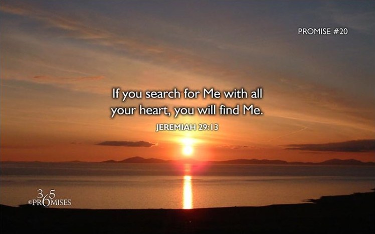365 Promises--Jer 29 13